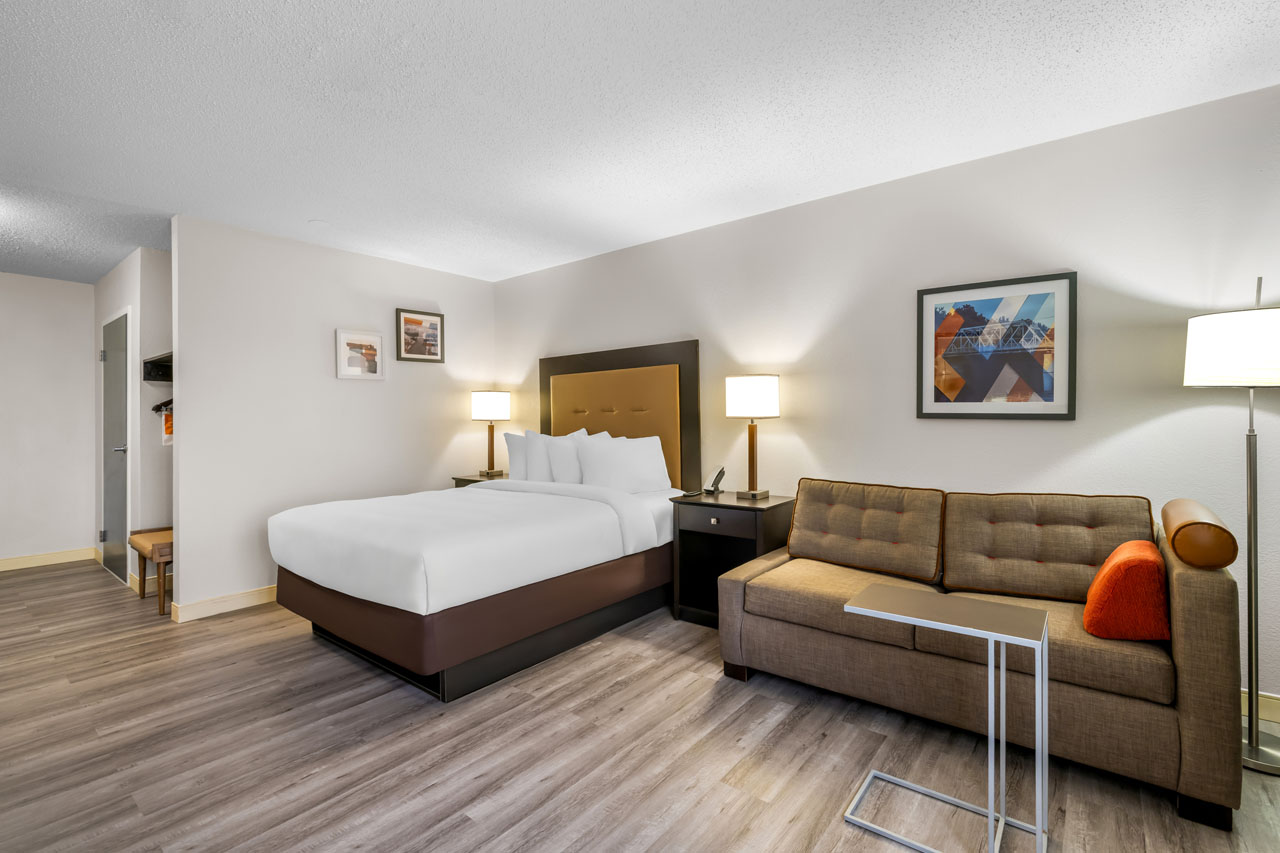 guest-room-with-sofa-bed